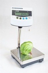 Waga przemysłowa wodoodporna BW-1 30 N