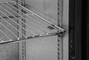 KÜHLVITRINE FÜR FLASCHEN 2-TÜRIG | YG-05355