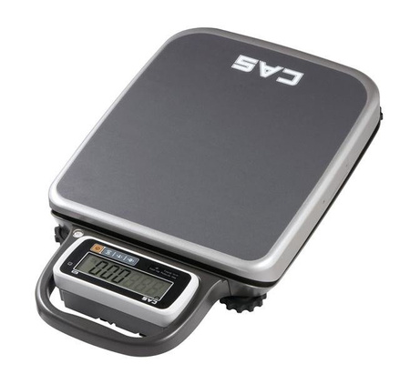 Industrial weighbridge scale PB 60